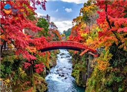 Tour Nhật Bản Cung Đường Tokyo - Núi Phú Sĩ - Enoshima Mùa Thu